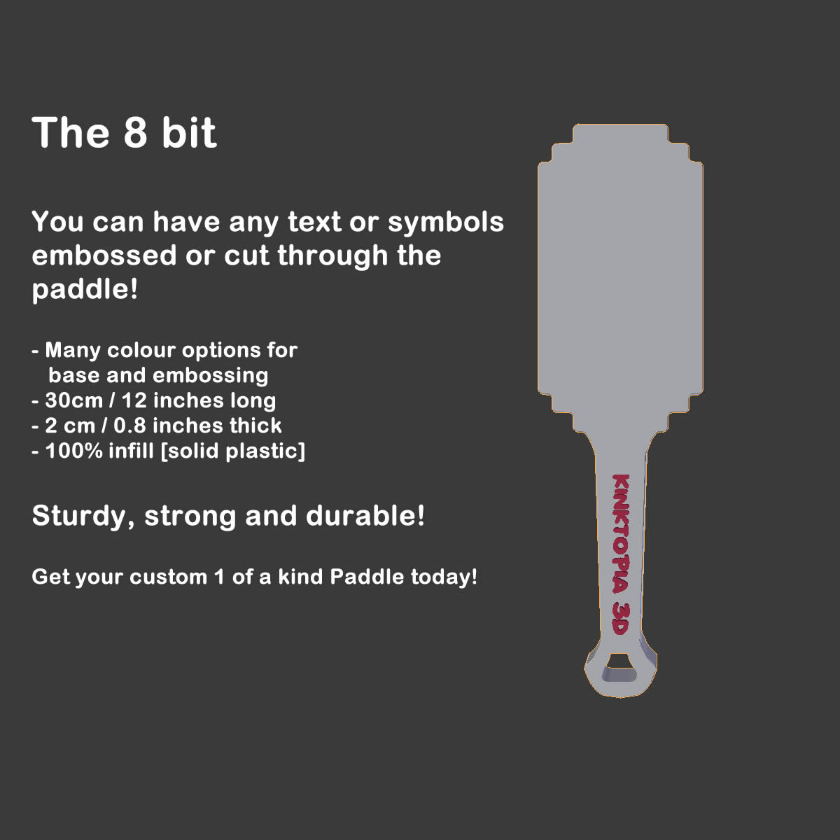 Custom Paddle - The 8 Bit